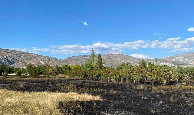 Erzincan'da anız yangını büyümeden söndürüldü