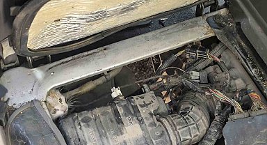 Erzincan'da araç motorunda mahsur kalan yavru kedi kurtarıldı