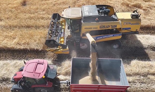 Erzincan'da baraj ve sulama suları tarlaları bereketle buluşturuyor