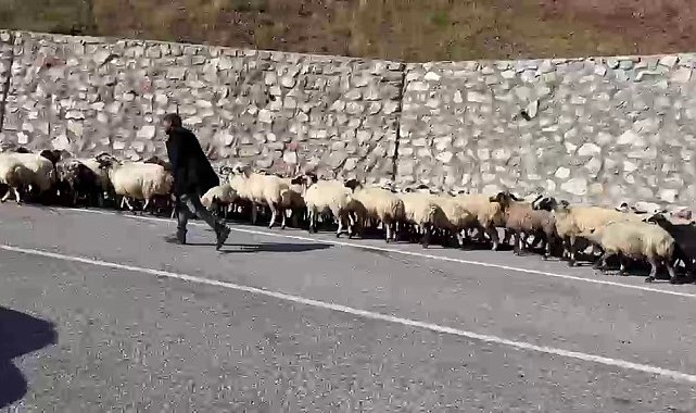 Erzurum'da göçerlerin zorlu "Kışa dönüş" mesaisi başladı