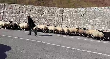 Erzurum'da göçerlerin zorlu "Kışa dönüş" mesaisi başladı