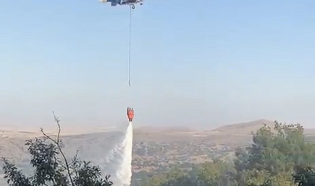 Eskişehir'de meşelik alanda çıkan yangın kontrol altına alındı