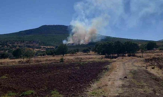 Eskişehir'de ormanlık alanda çıkan yangın kontrol altına alınmaya çalışılıyor