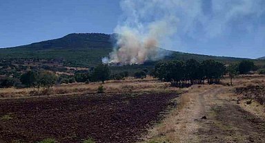 Eskişehir'de ormanlık alanda çıkan yangın kontrol altına alınmaya çalışılıyor