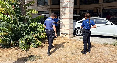 Esnafın beslediği kedi bacakları kesilmiş halde bulundu