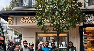Fatih'te 'dükkanın önünü kapatıyor' denilerek kesilen ağacın yerine yenisi dikildi