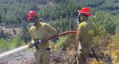 Feke'de orman yangını: 1 helikopter ile müdahale ediliyor