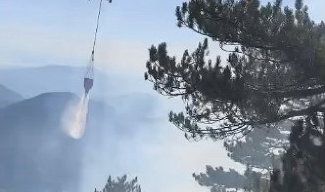 Fethiye'de orman yangını