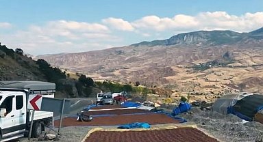 Fındık üreticilerinin güneş arayışı