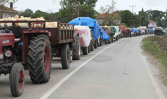 Fındık üreticisine uyarı: "Ürününüzü ayıklayın"