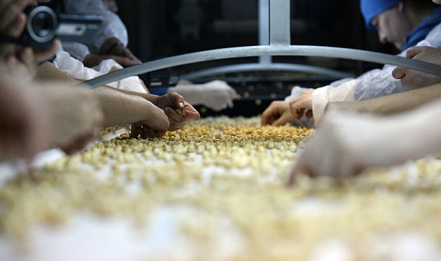 Fındıkta 'yüksek maliyet ve küresel rekabet' uyarısı