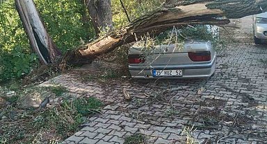 Fırtınada kökünden sökülen ağaç otomobilin üzerine devrildi