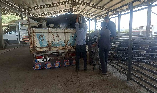 Gediz Belediyesi hayvan pazarı pazartesi günleri kurulacak