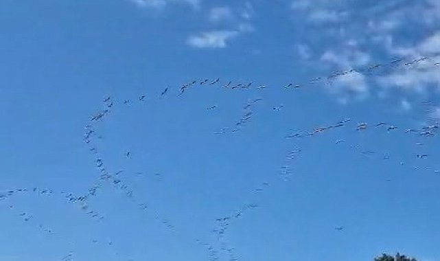 Göç eden leylek sürüsü gökyüzünde görsel şölen oluşturdu