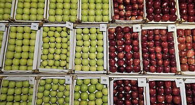 Gölcük'te en lezzetli elma ve armutlar vitrine çıktı