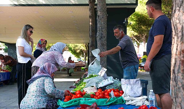 Hacıömerli'de salı pazarı bereketi