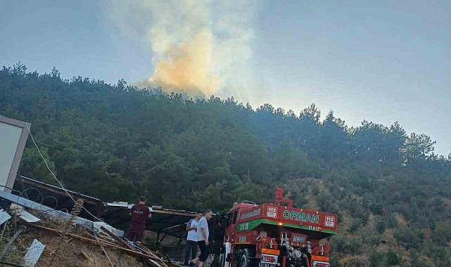 Hassa'da ormanlık alan yangını kontrol altına alındı