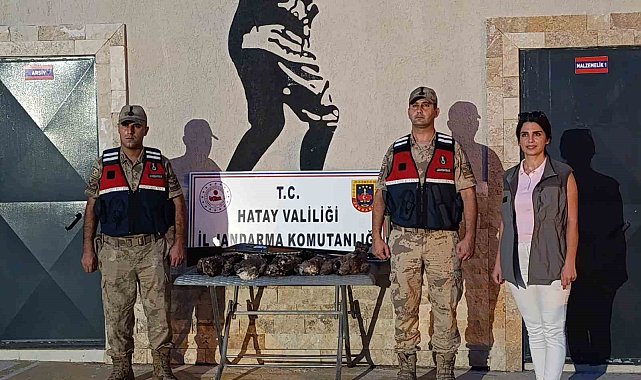 Hatay'da 7 arı şahini avlayan şahsa ceza yağdı