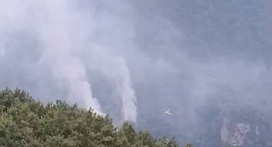 Hatay'daki orman yangınının enerjisi düşürüldü