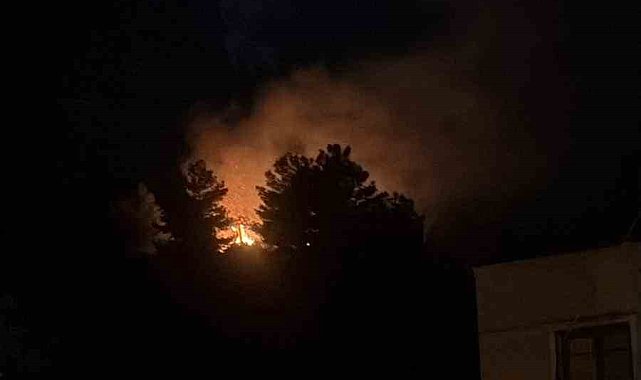 Havai fişeğin düştüğü ormanlık alandan alevler yükseldi