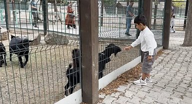 Hayvanat Bahçesi'nde 30 Ağustos bereketi