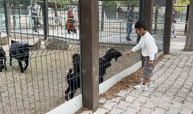 Hayvanat Bahçesi'nde 30 Ağustos bereketi