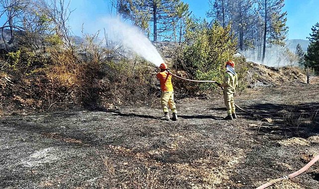 Hisarcık'ta otluk alanda çıkan yangın ormana sıçramadan söndürüldü