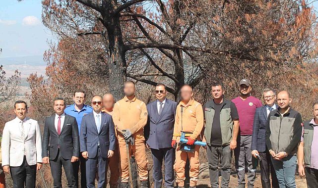 Hükümlüler ormanların yeniden yeşertilmesi için sahada