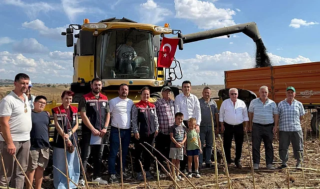 İpsala'da ayçiçeği hasadı heyecanı