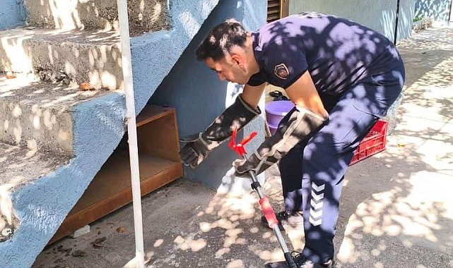 İskenderun'da evin içerisinde görülen yılan yakalandı