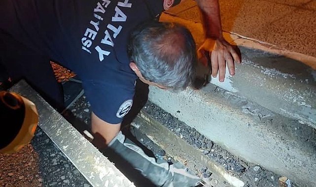 İskenderun'da mahsur kalan hayvanlar ekipler tarafından kurtarıldı
