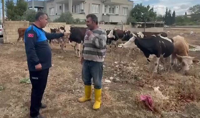 İslahiye'de kaybolan 17 büyükbaş, kulak küpelerinden sahibi tespit edilerek teslim edildi