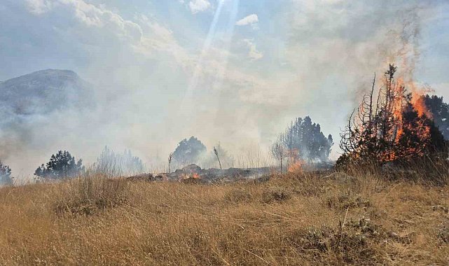 Isparta'da ormanlık alanda çıkan yangın 6 saatte söndürüldü
