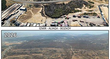 İzmir'de yanan ormanlar yeniden fidanla buluşuyor