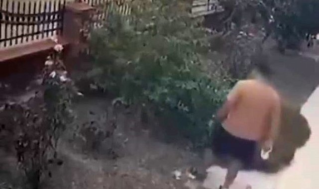 İzmir'de yavrulu kediye tekme atan saldırgan yakalandı