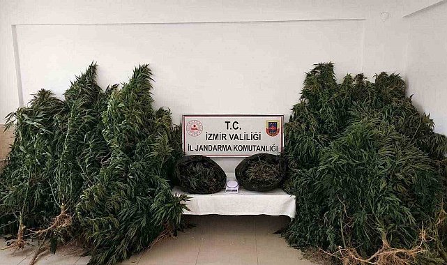 İzmir'de zehir tacirlerine 'drone' destekli operasyon: 13,4 kilo esrar ele geçirildi