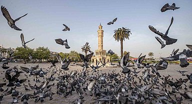 İzmir'in iklim deneyimi Avrupa'ya taşınacak