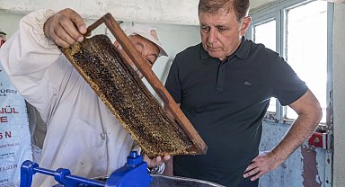 İzmir'de Başkan Tugay üreticiyle bal sağdı