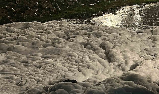 İzmit'te sahildeki köpükler merak uyandırdı