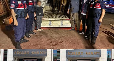 Jandarma çalınan 13 hayvanın izini sürdü: 3 büyükbaş sahibine teslim edildi