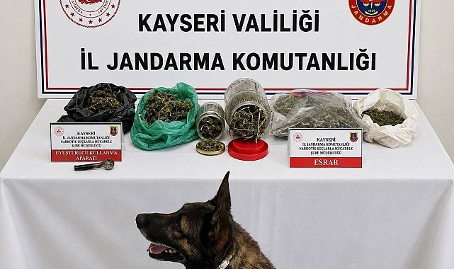 Jandarma operasyonunda bin 200 gram uyuşturucu ele geçirildi