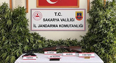 Jandarmadan 3 ilçede uyuşturucu operasyonu: 3 tutuklama