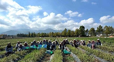 Kadın eliyle tarladan markaya: Emeğin hasadı