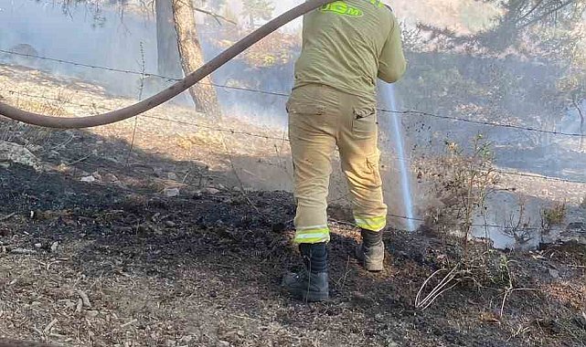 Kahramanmaraş'ta çıkan orman yangını kontrol altına alındı