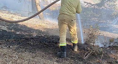 Kahramanmaraş'ta çıkan orman yangını kontrol altına alındı