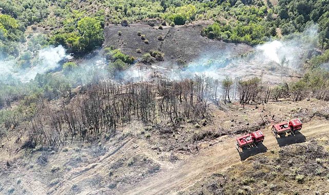 Karabük'te anız yangını korkuttu: Bir samanlık yandı