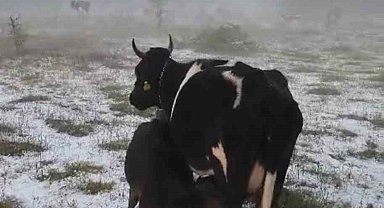 Karabük'te dolu yağışı etkili oldu