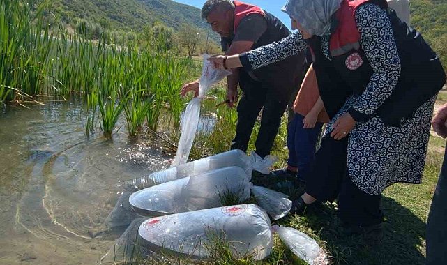 Karabük'teki göletlere 105 bin yavru balık bırakıldı