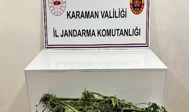 Karaman'da jandarmanın yakaladığı 31 şahıstan 11'i tutuklandı