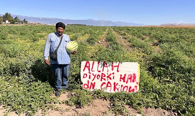 Karpuz hırsızlarıyla başa çıkmak için kibar ikazda bulunan çiftçinin çözümü sonuçsuz kalınca tarlada nöbete başladı